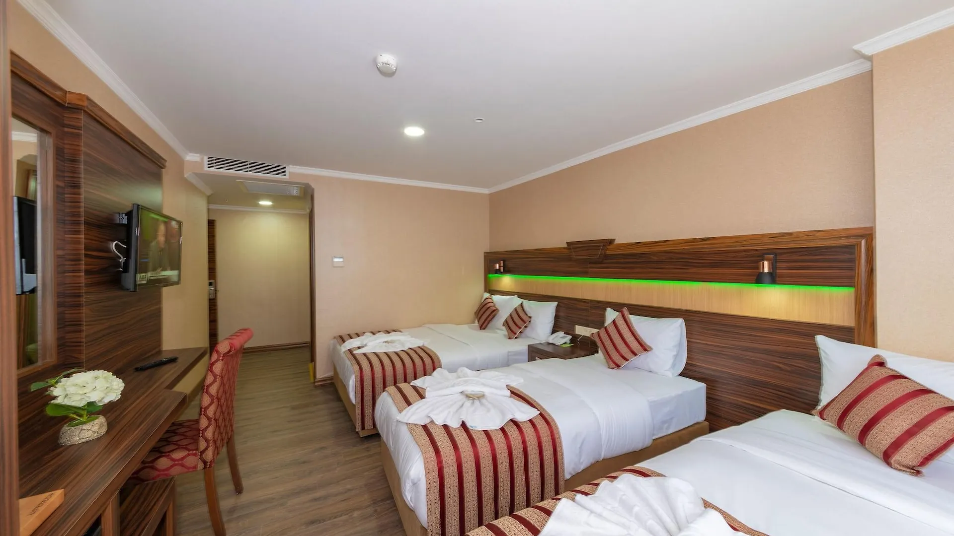 Vision Deluxe Hotel اسطنبول 3*,